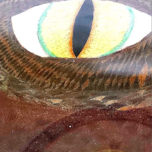 Hand Crafted Dragons Eye Original Colored Drawing Framed Pencil Art - Picture 9 of 14